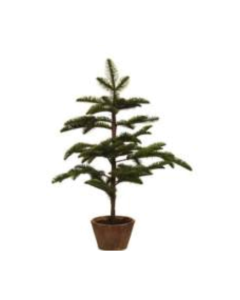 Abeto Spruce 75cm