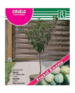 CIRUELO ENANO