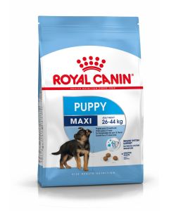 ROYAL CANIN MAXI JUNIOR 4 KG