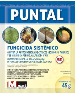 Fungicida Antiamarronamiento PUNTAL - Massó - 45g