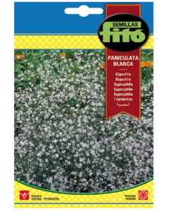 Gipsófila Paniculata Blanca