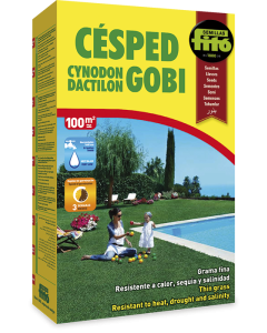 Césped Gobi, 1 kg