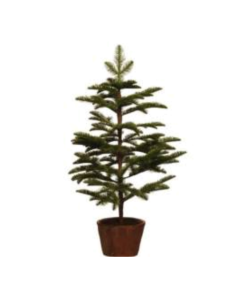 Abeto Spruce Navidad 92cm