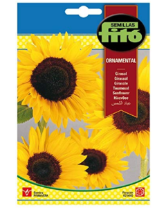 SUPERBOL GIRASOL ORNAMENTAL 