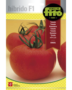 Híbridos de Tomate Crisol