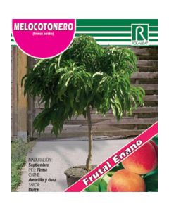 MELOCOTONERO ENANO