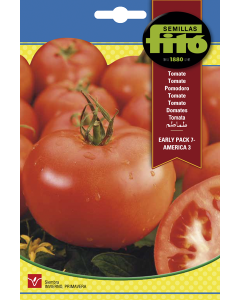 Tomate Early Pack 7- America 3  100 gr