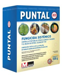 Fungicida Antiamarronamiento PUNTAL - Massó  - 500 gr