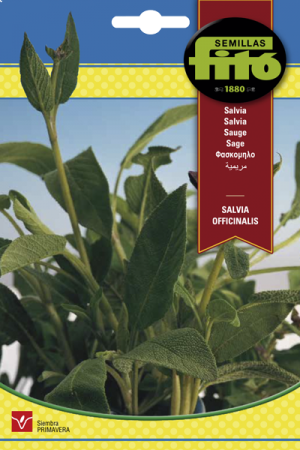 Salvia Officinalis - Semillas Fitó 