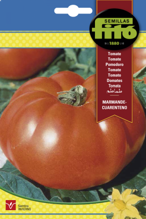Tomate Marmande-Cuarenteno