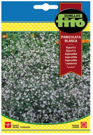 Gipsófila Paniculata Blanca 