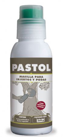 Pasta Cicatrizante PASTOL - Massó